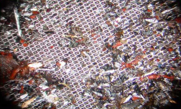 A picture of 125x magnification of debris on 28 micron screen.